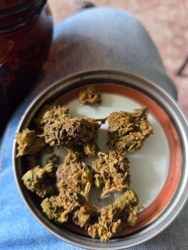 Customer's close-up of several ZAZA Purple Kush indica buds resting on top of a jar lid.