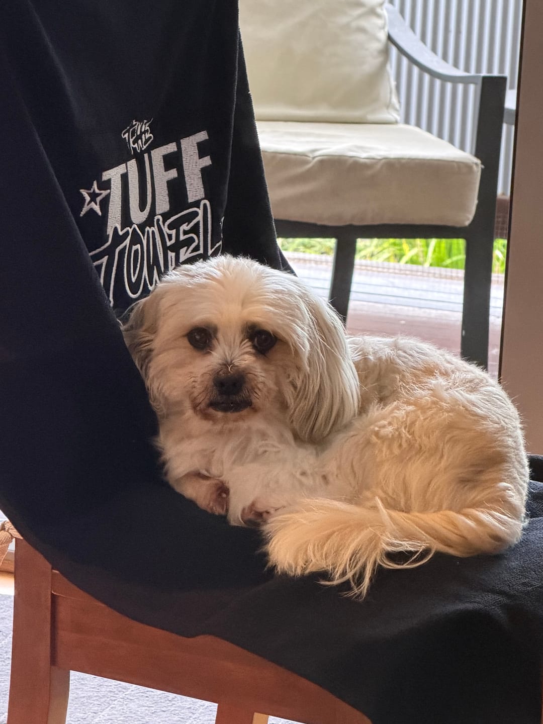 Customer photo review of Waterproof Car Towel Seat Cover - The OG