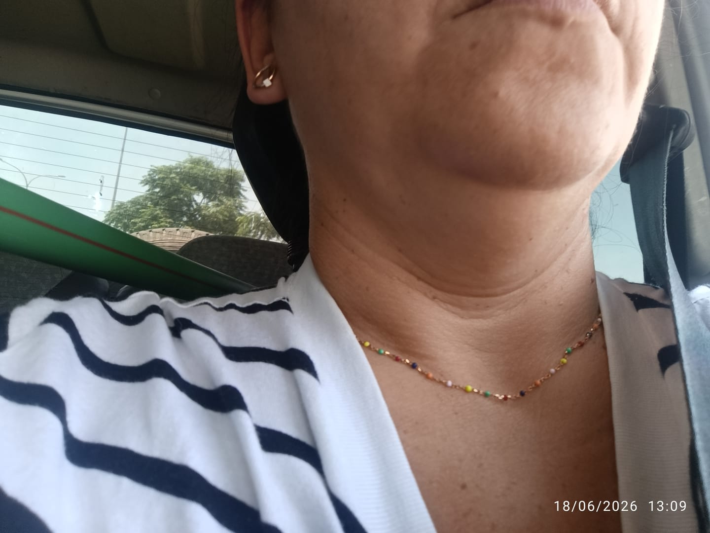 Customer photo review of Collar Cóctel Colors
