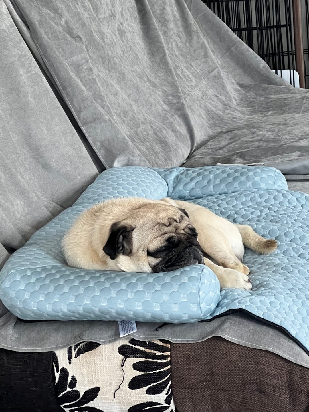 Customer photo review of Frostcore™ Cooling Couch Cover Dog Bed