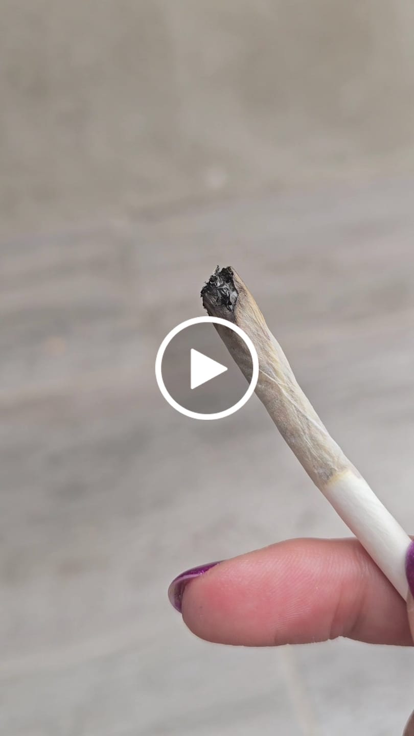Customer video review of Montgomery Benz THCA Flower