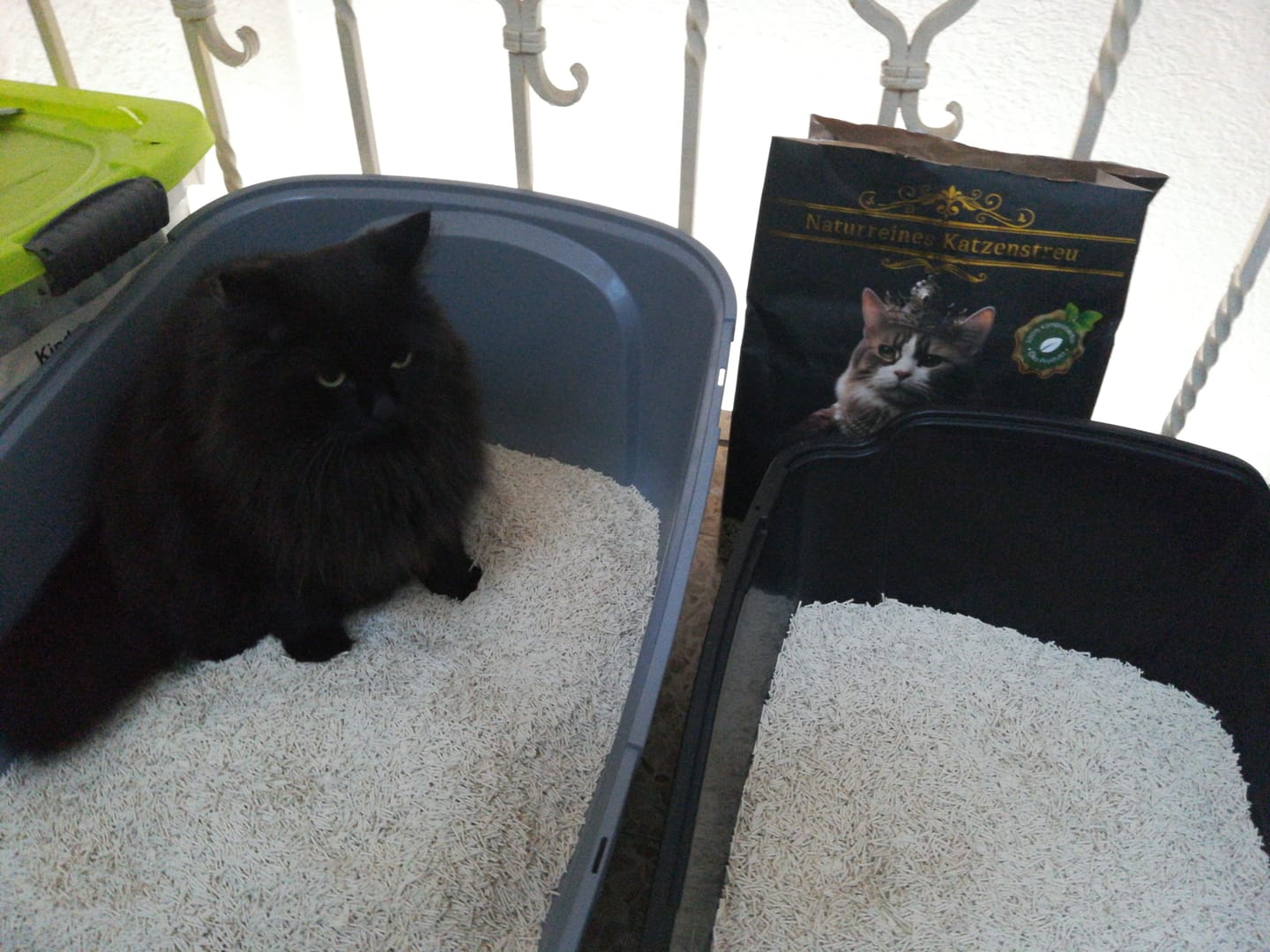 Customer photo review of Katzenstreu 2+1 Aktion