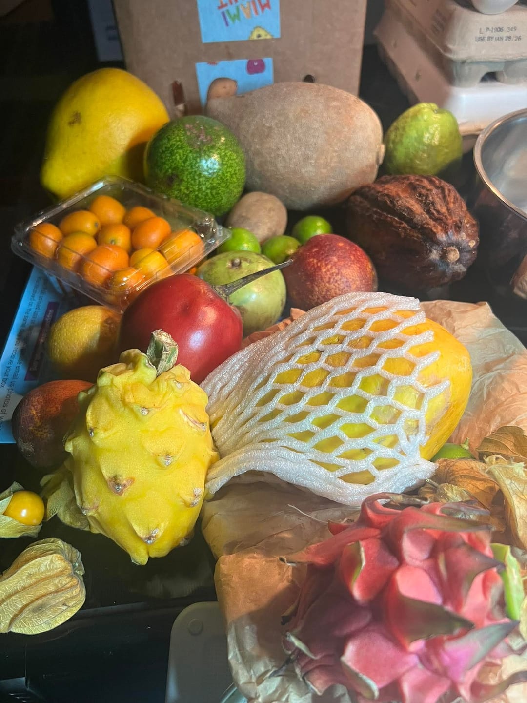 Customer photo review of Variety Box