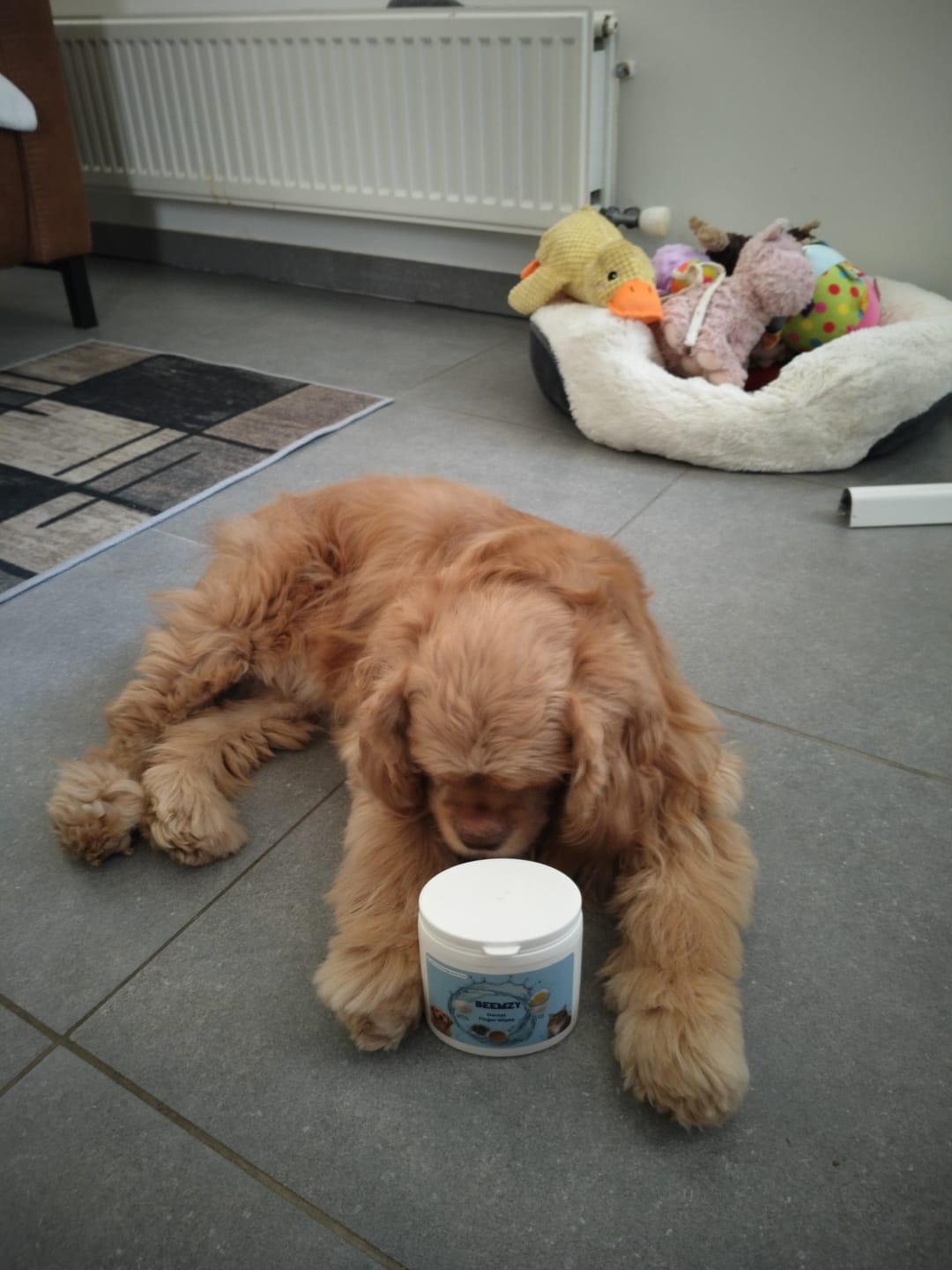 Customer photo review of Beemzy Oral Wipes – Hond & Kat