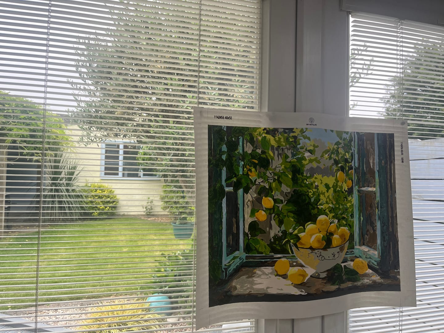 Customer photo review of Lemon Bowl at the Window | Paint by Number