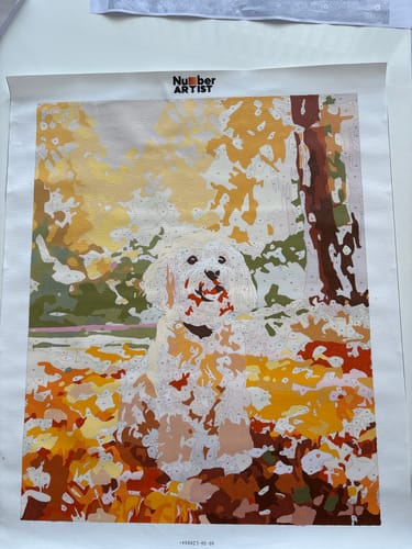 Reviewer's in-progress Cockapoo at the Park paint-by-numbers canvas.