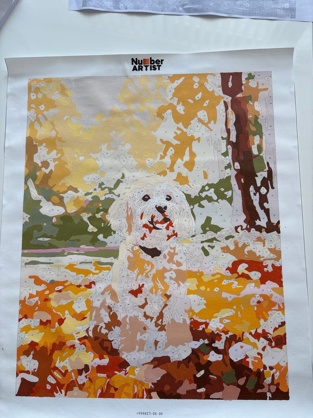 Customer photo review of Cockapoo at the Park