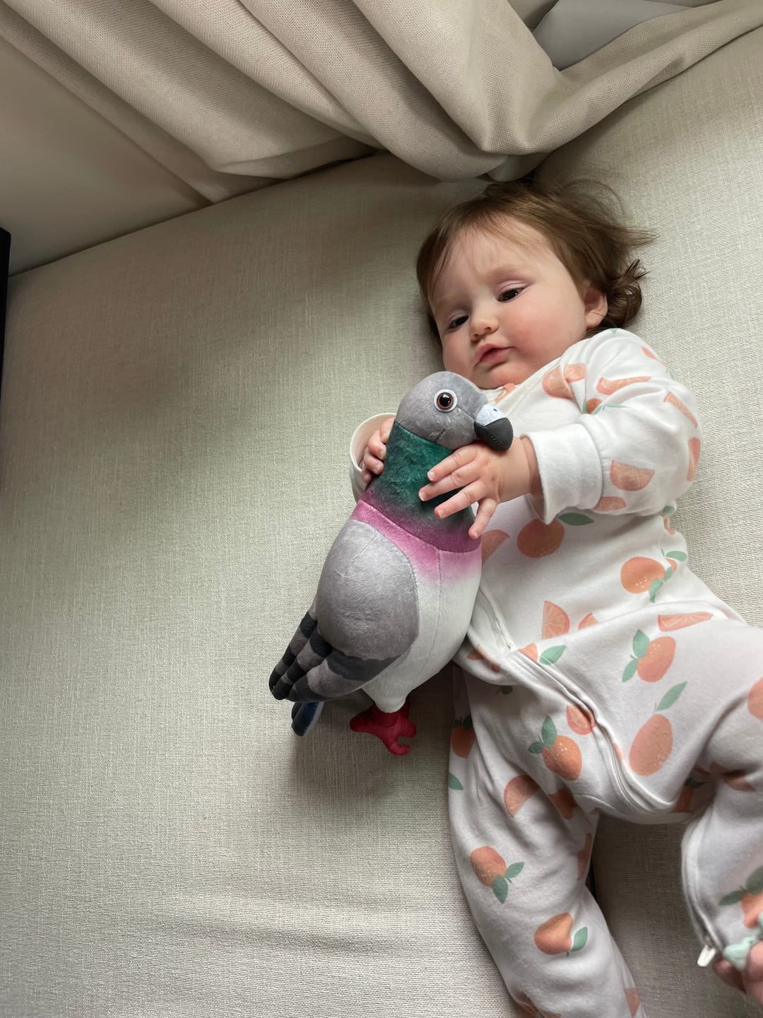 Customer photo review of Common Pigeon Bird Soft Stuffed Plush Toy