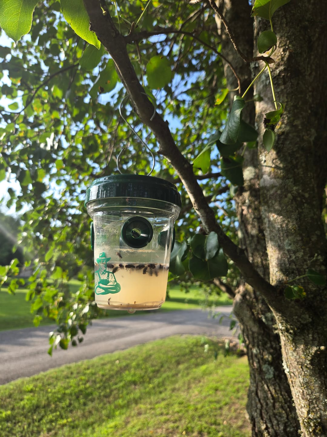Customer photo review of Mosquito TNT Refill Pack