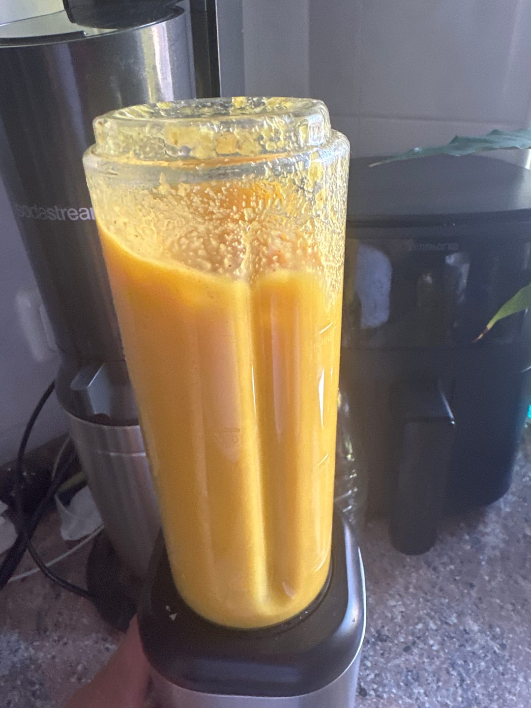Customer photo review of Ingwer Bio aus Peru mit Schale verwertbar!
