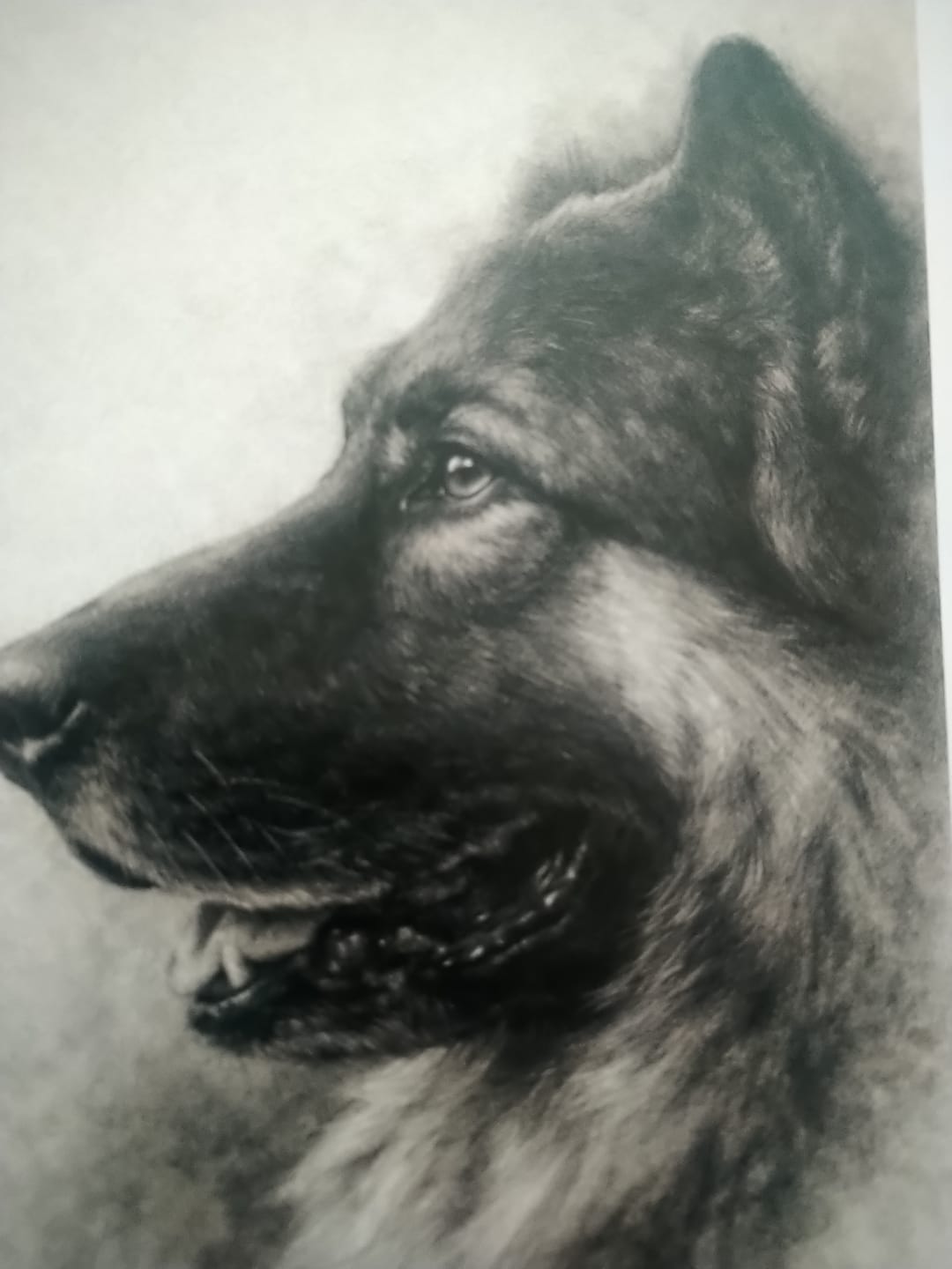 Customer photo review of Charcoal - Personalised Poster