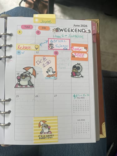 Customer's planner page for June decorated with fun seagull stickers from the Planner Subscription.