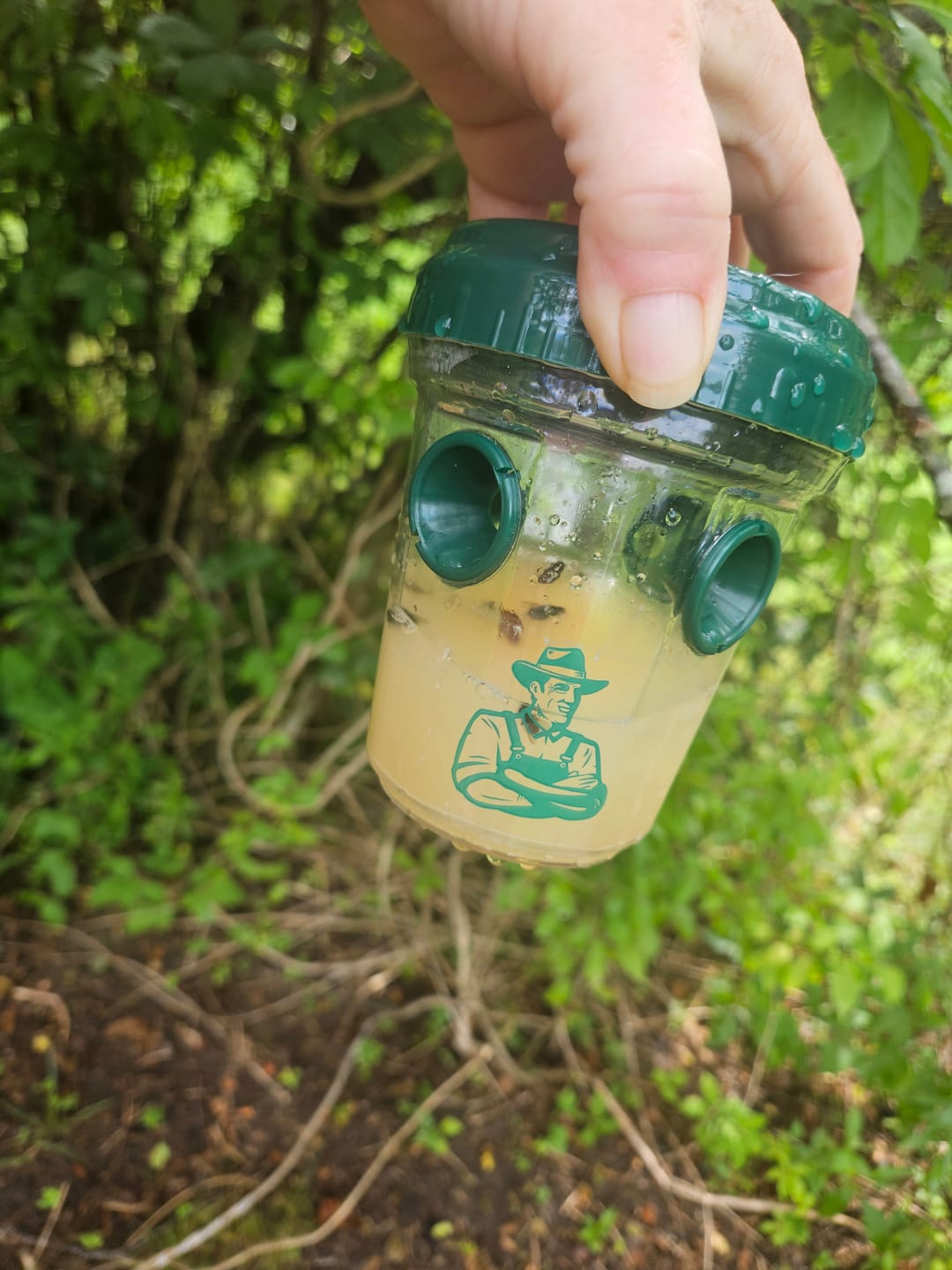 Customer photo review of Mosquito TNT 2.0