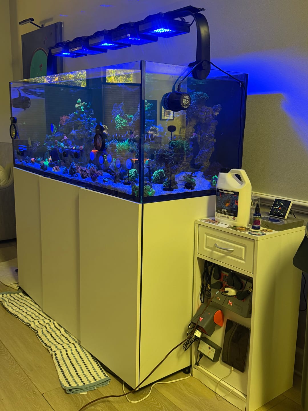 Customer photo review of Coral Essentials Micro Elements