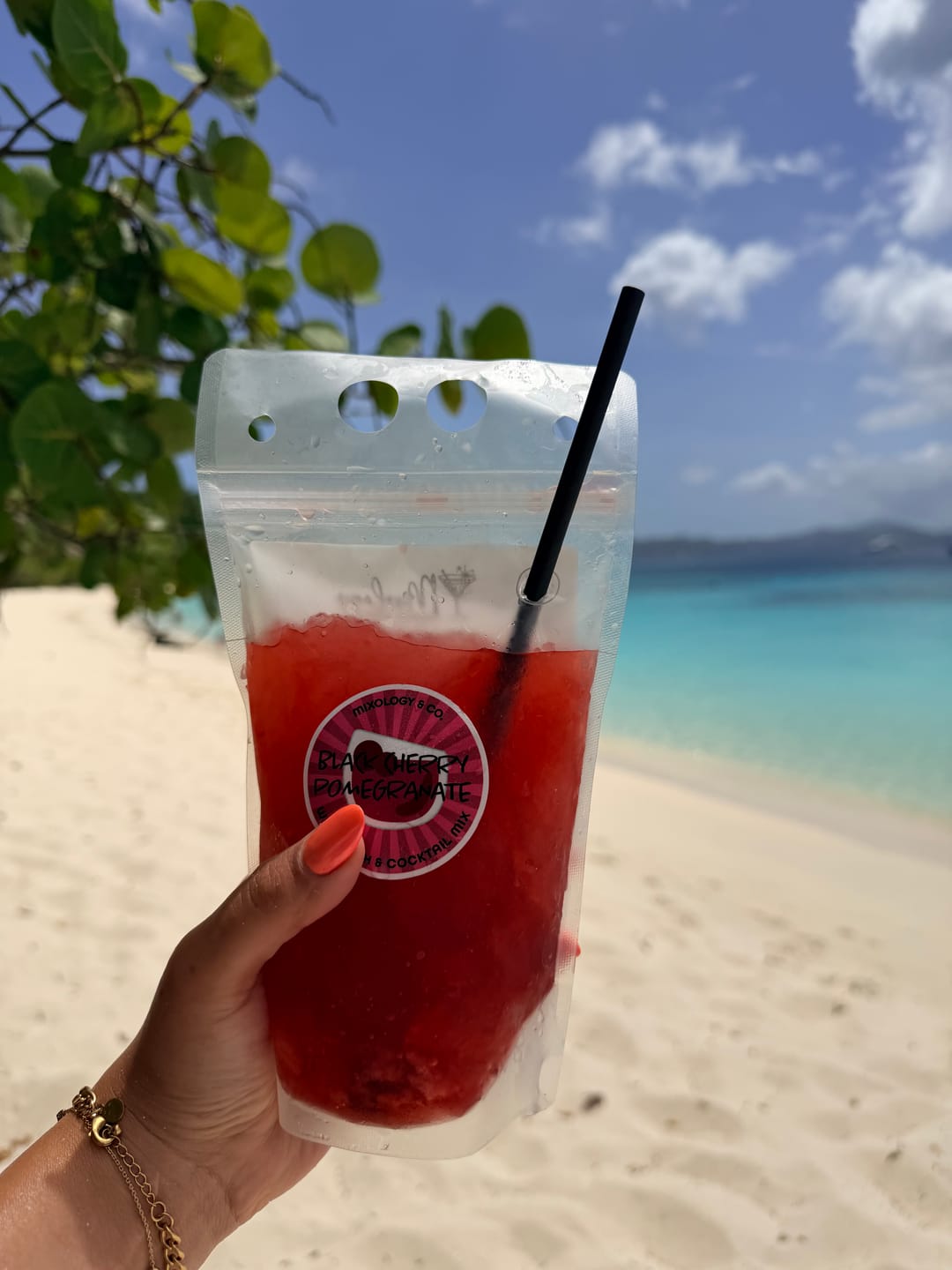 Customer photo review of Black Cherry Pomegranate Cocktail Pouch