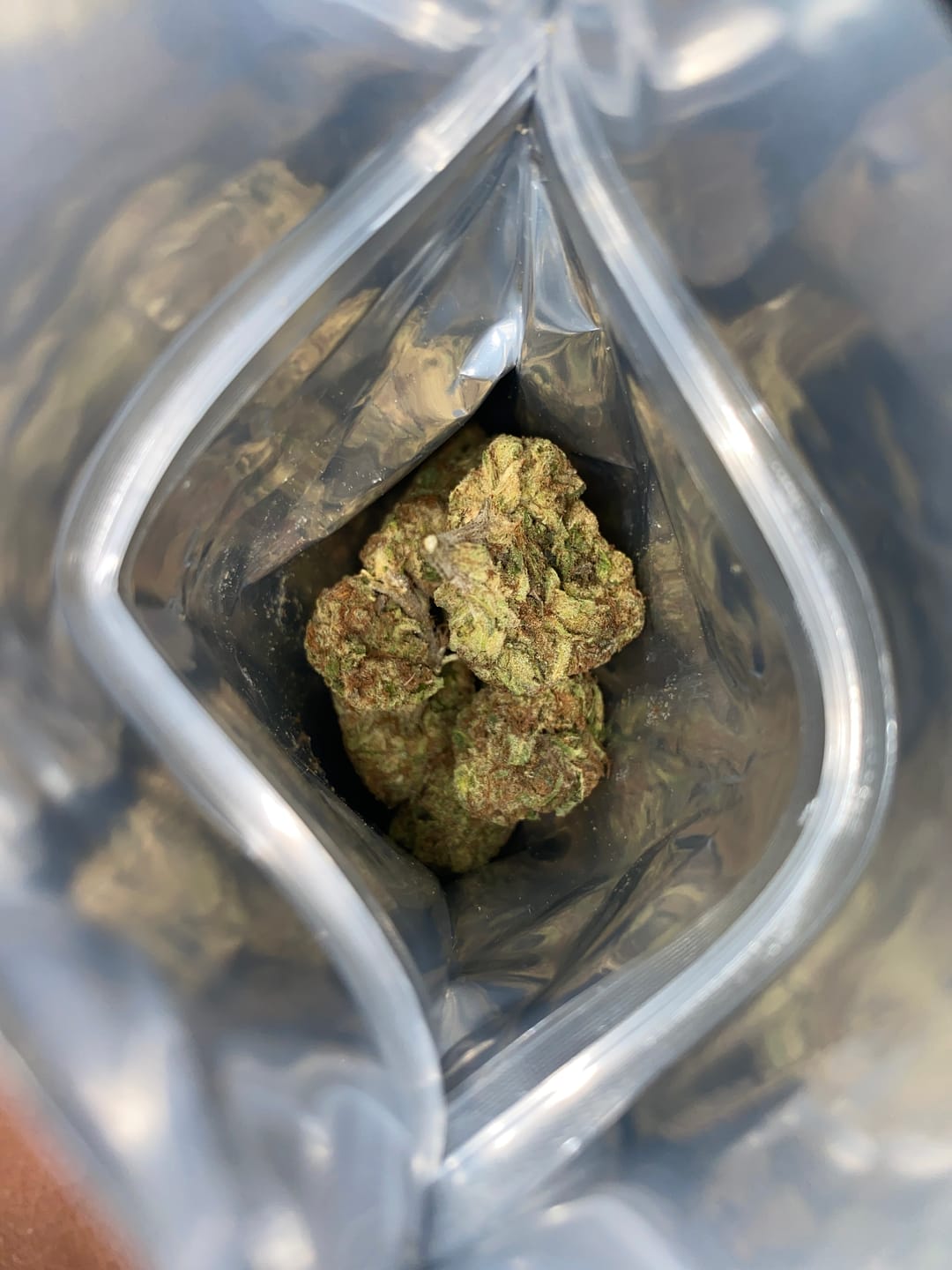 Customer photo review of Blueberry Muffin | Exotic | Hybrid