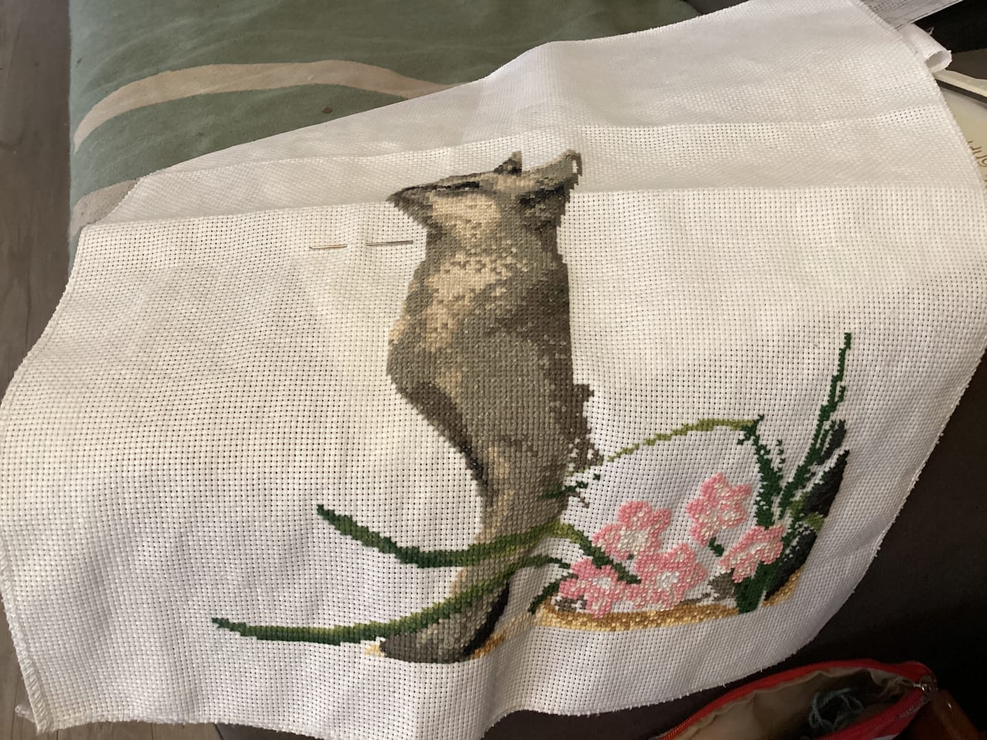 Customer photo review of Cat and Butterfly