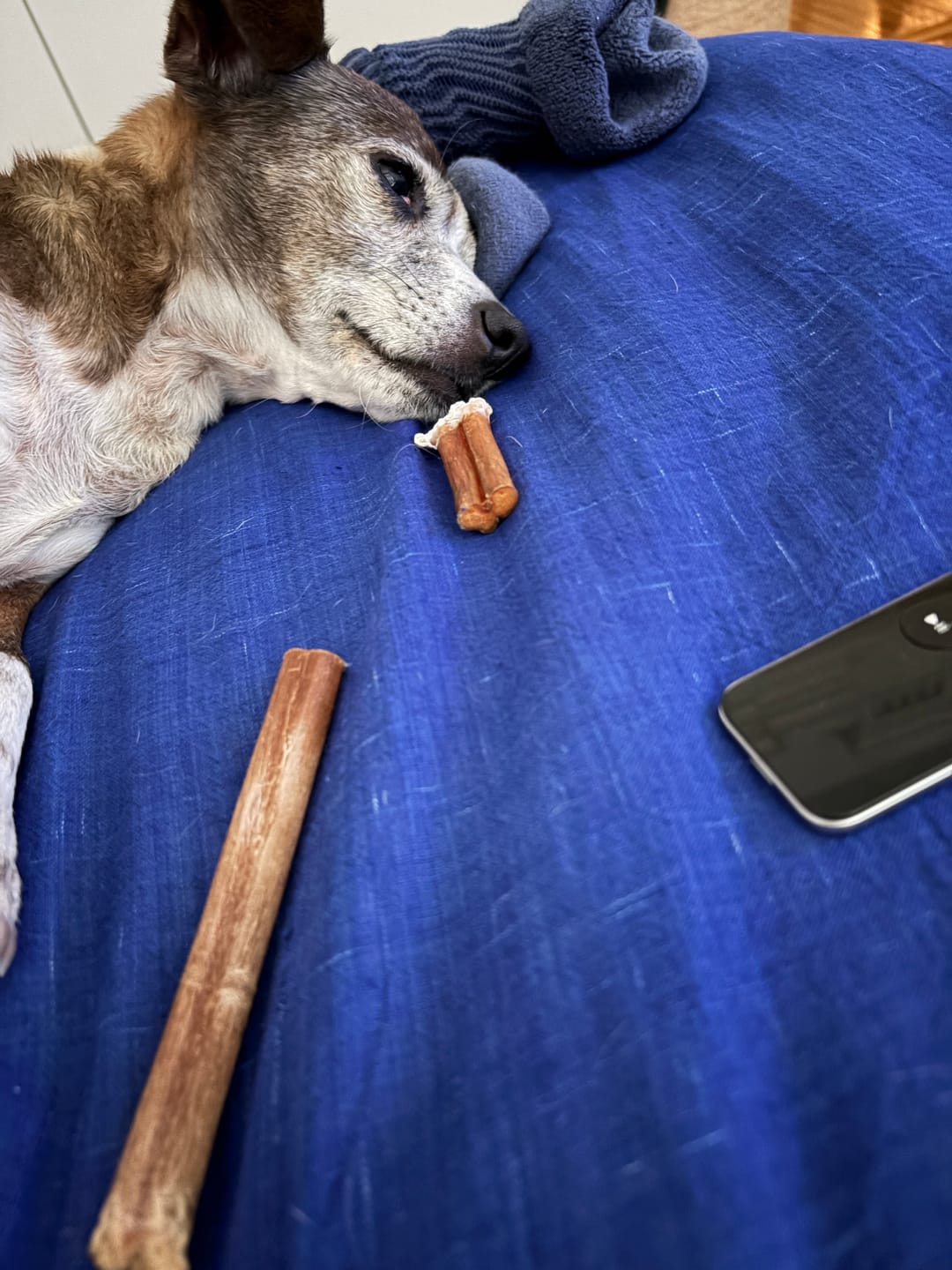 Customer photo review of Hickory Smoked Bully Sticks