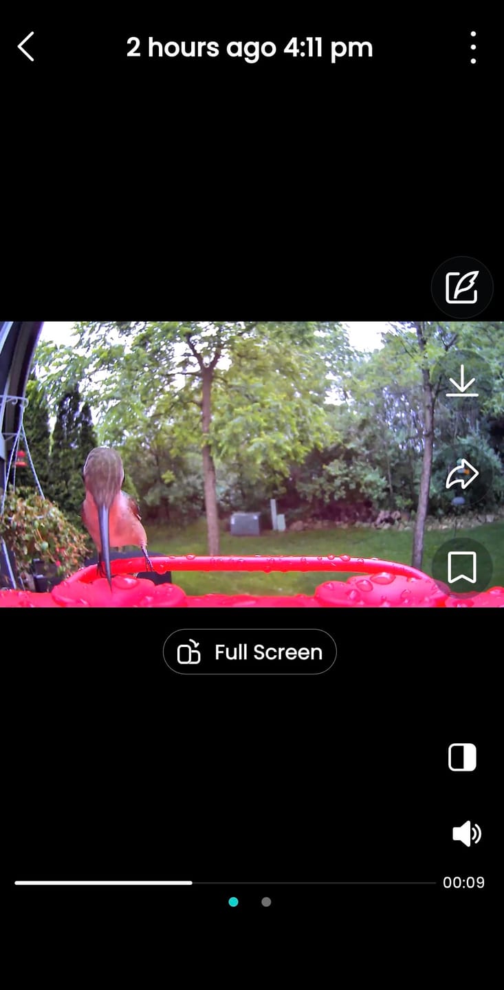 Customer photo review of Birdfy Hum Feeder - Hummingbird Feeder with Camera