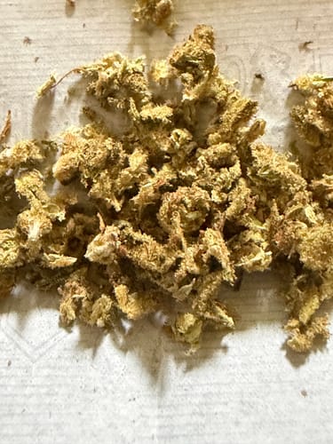 Jack Herer - 14 Grams - Sativa photo review