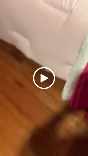 Customer video review of MarshMellow Comforter