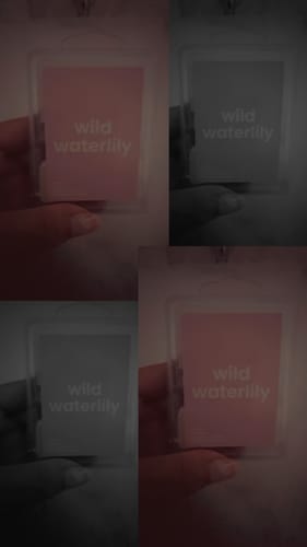 Customer photo review of Wild Waterlily Wax Melt