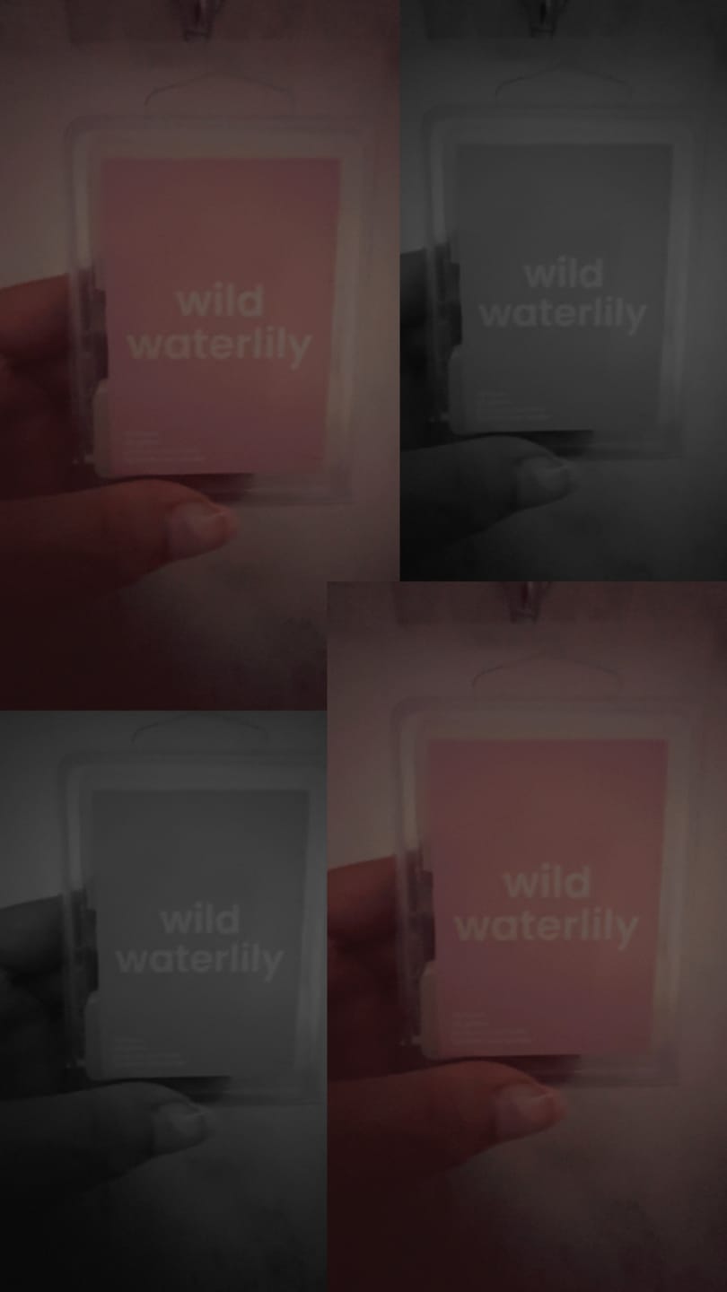 Customer photo review of Wild Waterlily Wax Melt