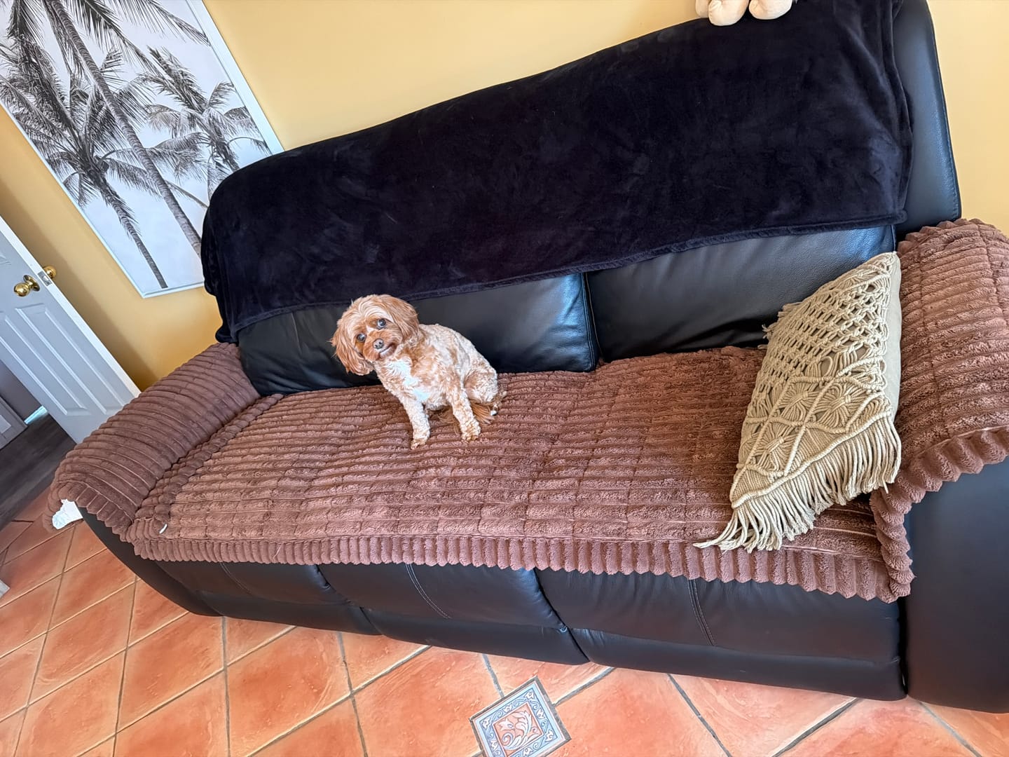 Customer photo review of CouchCloud - Couch Covers