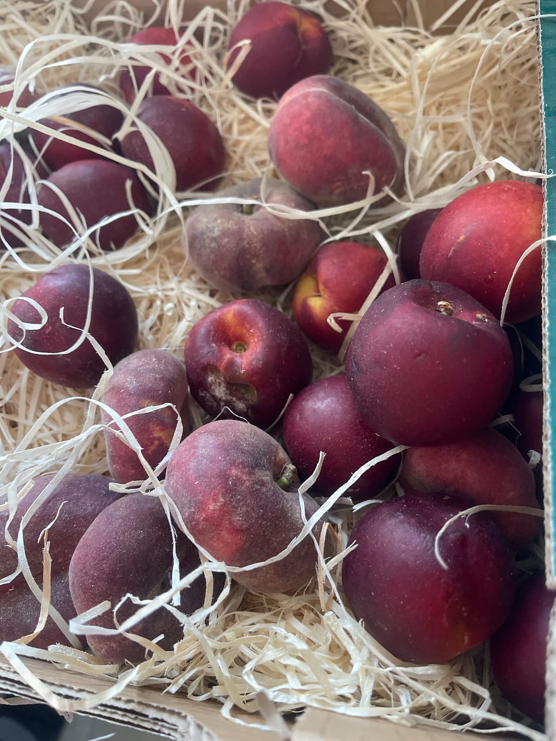 Customer photo review of Pfirsich & Nektarinen Bio von Jordi Retterbox 3kg