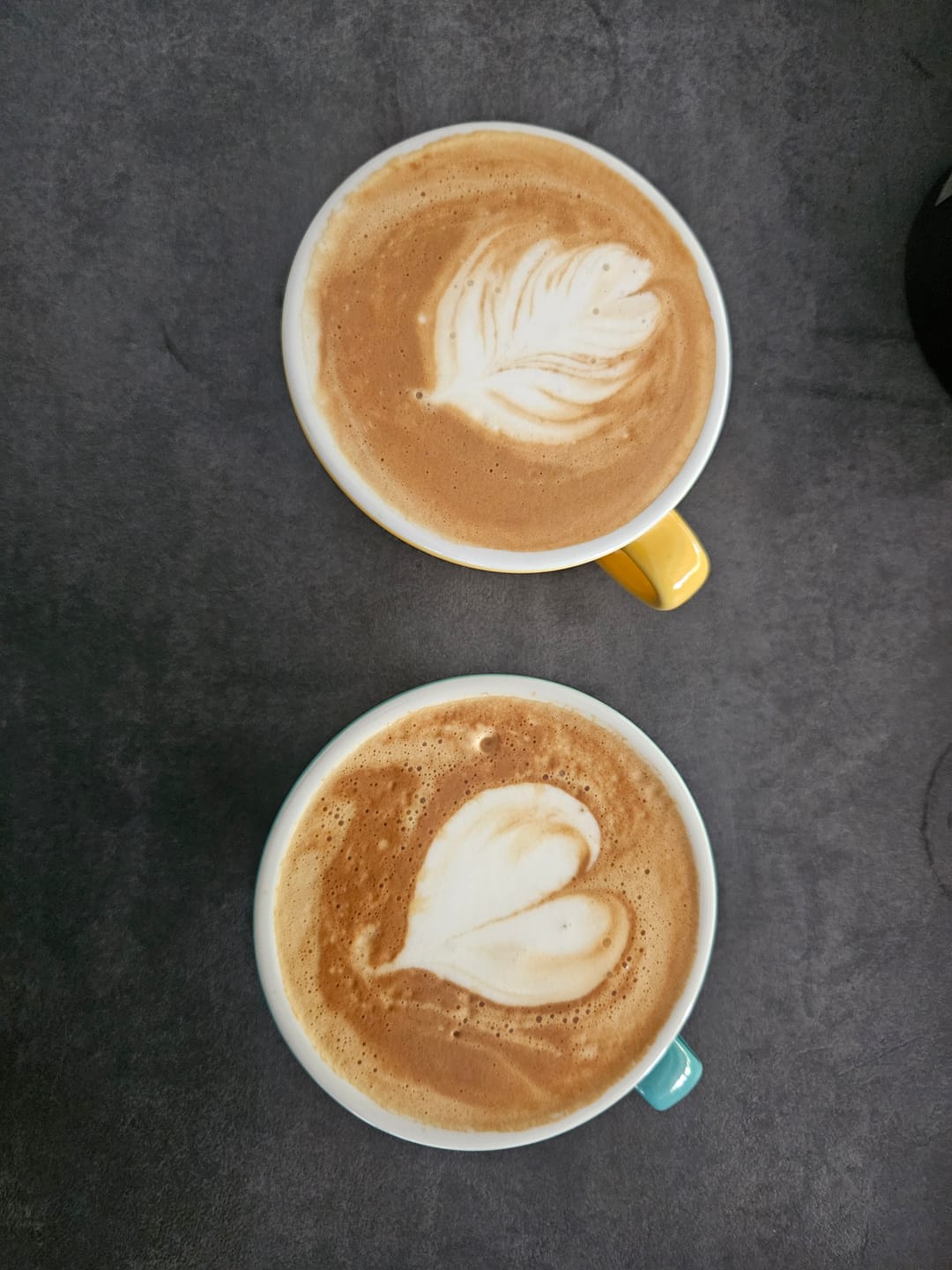 Customer photo review of Best Friends Crema King