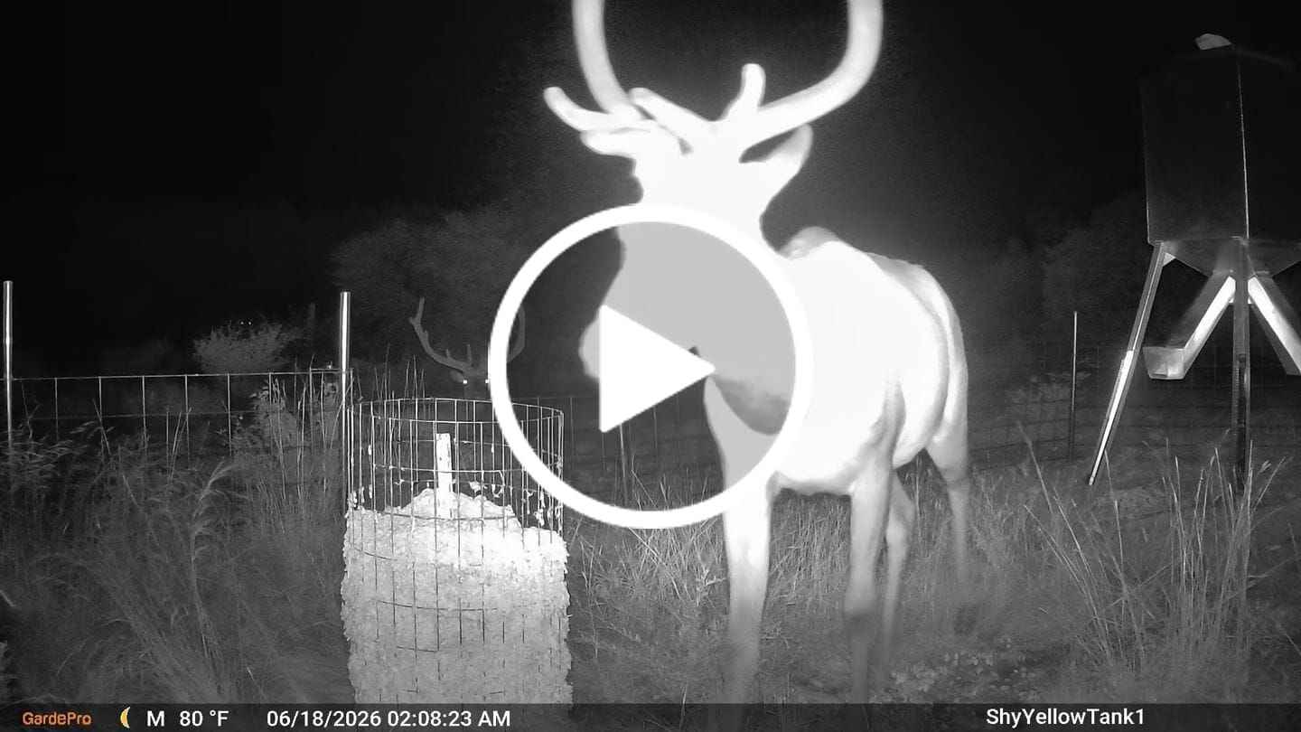 Customer video review of GardePro X66 Pro Cellular Trail Camera