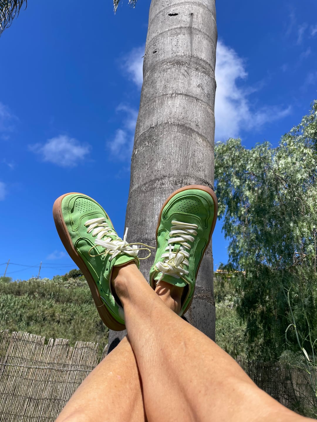 Customer photo review of Shibuya Colors Matcha