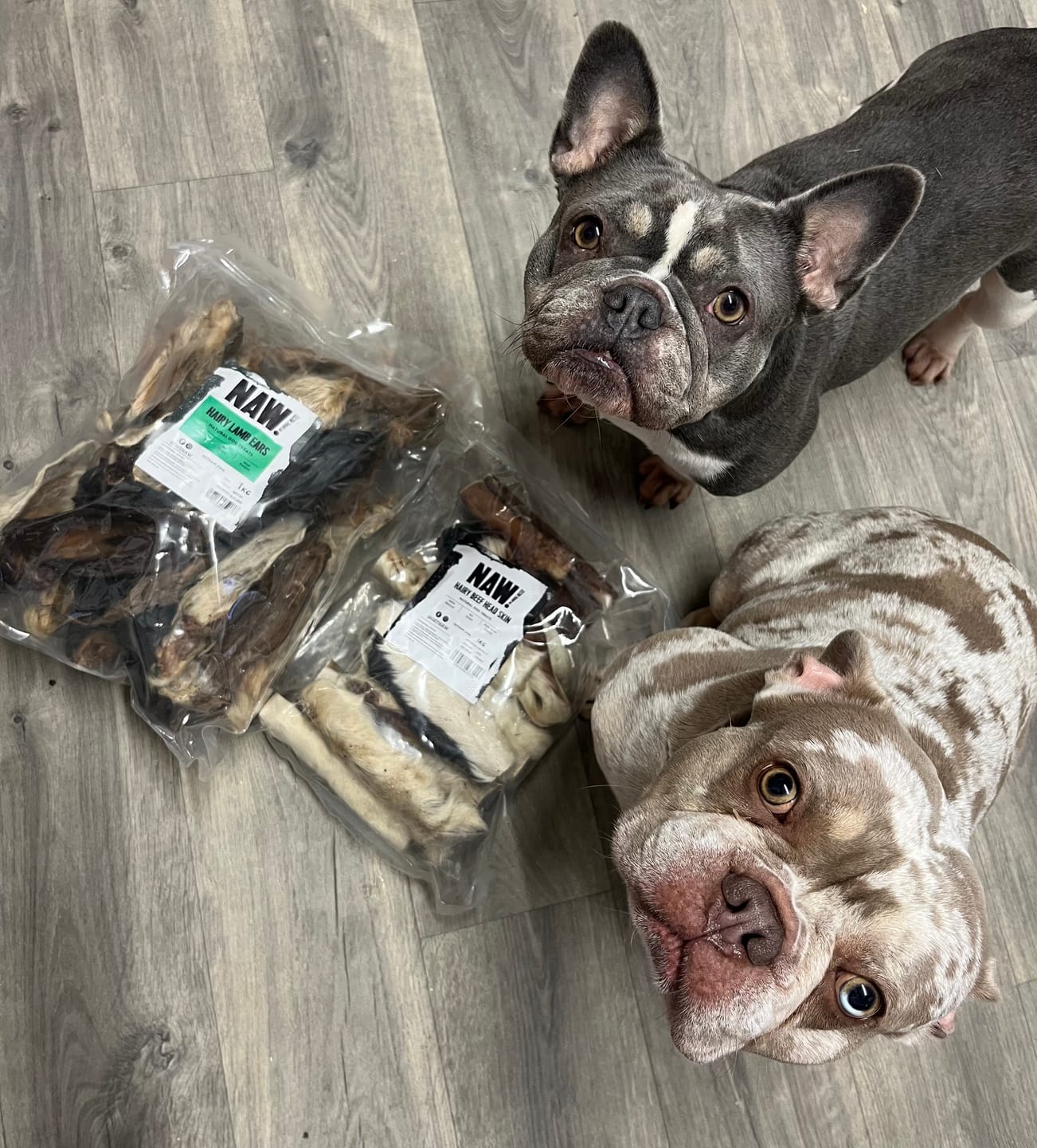 Customer photo review of Hairy Lamb Ears (1kg)