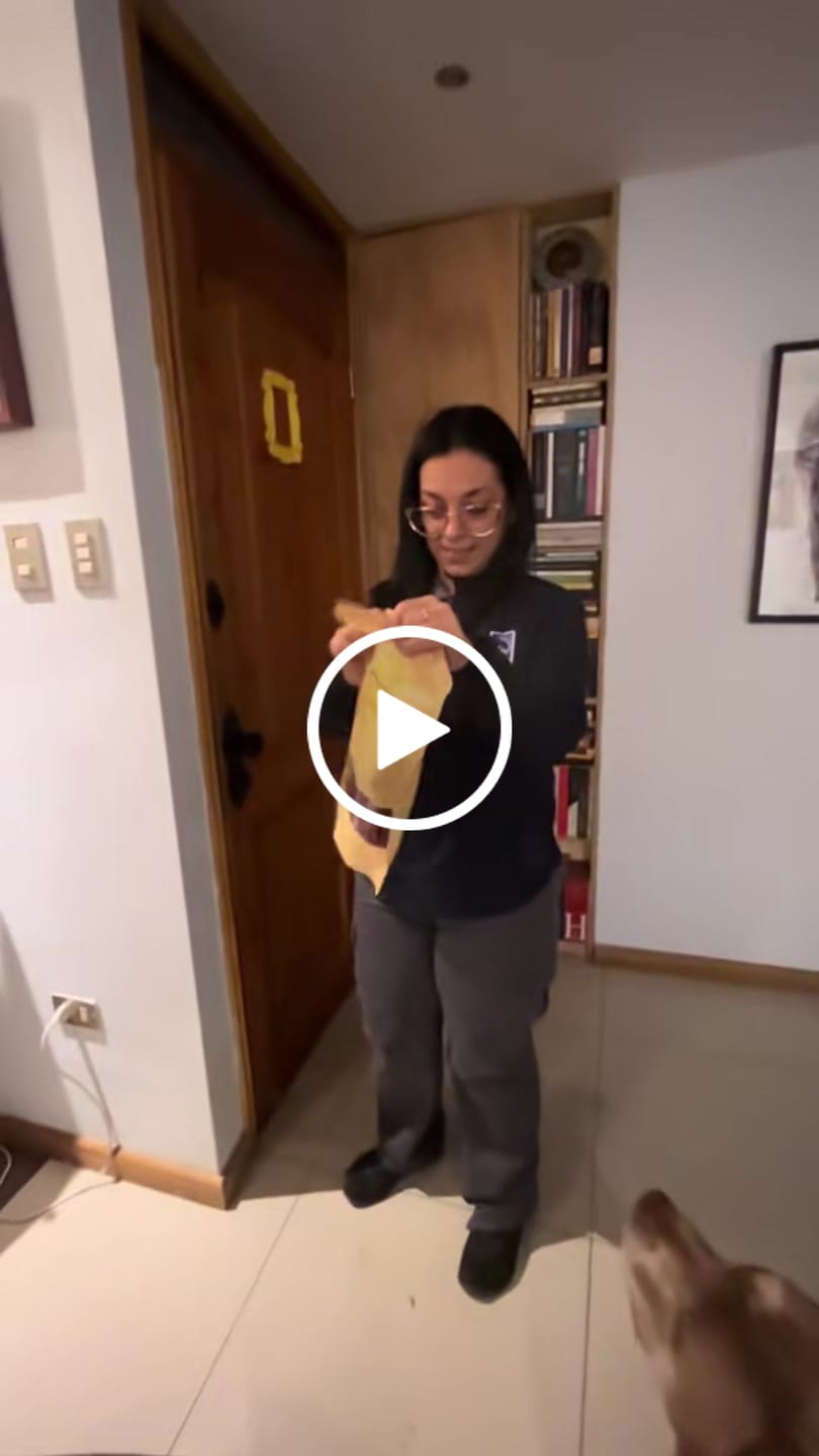 Customer video review of Oreja de cerdo  - 8 unidades enteras GRANDES talla L