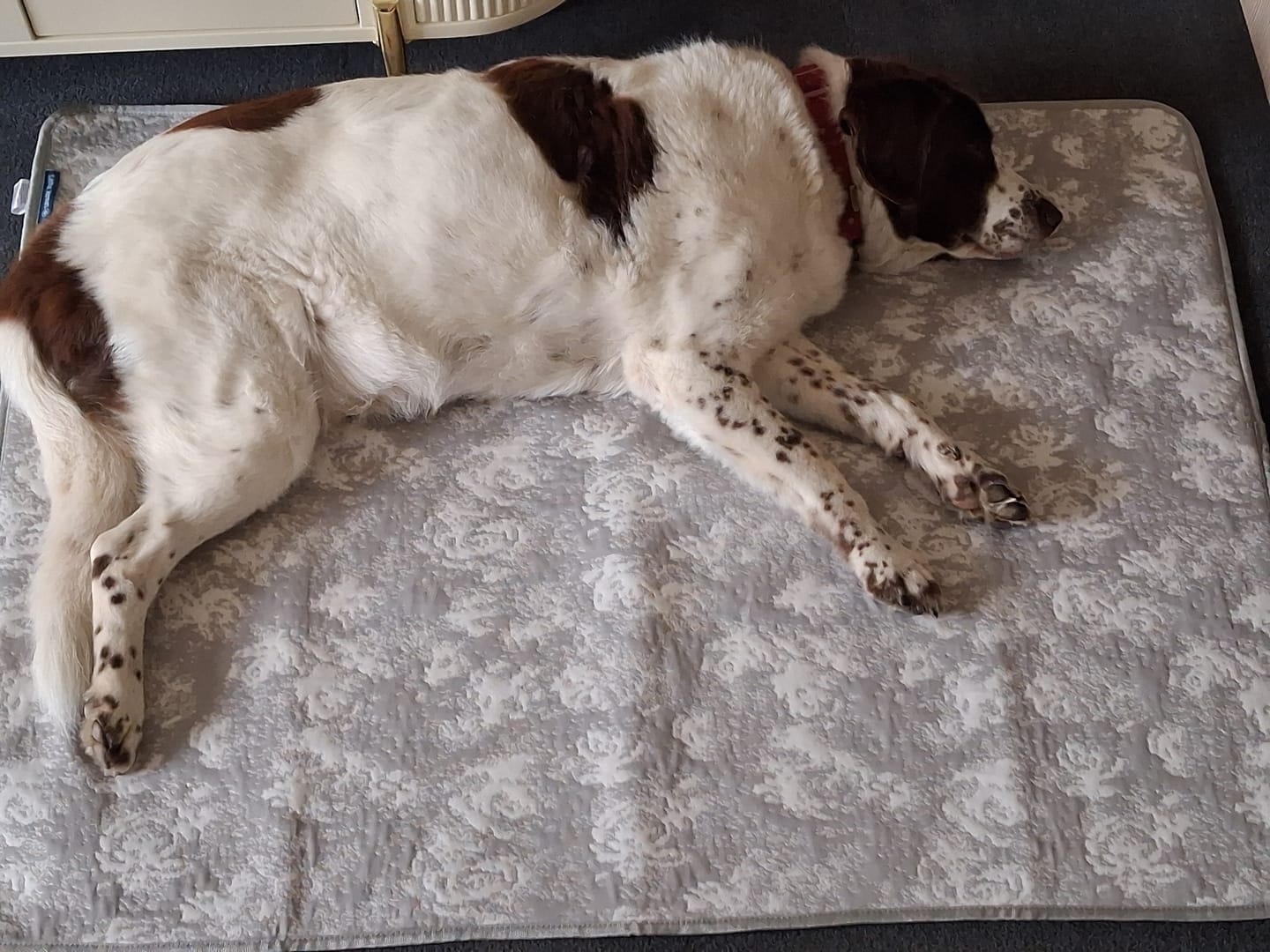 Customer photo review of Frostcore™ Cooling Mat - Clouds Grey