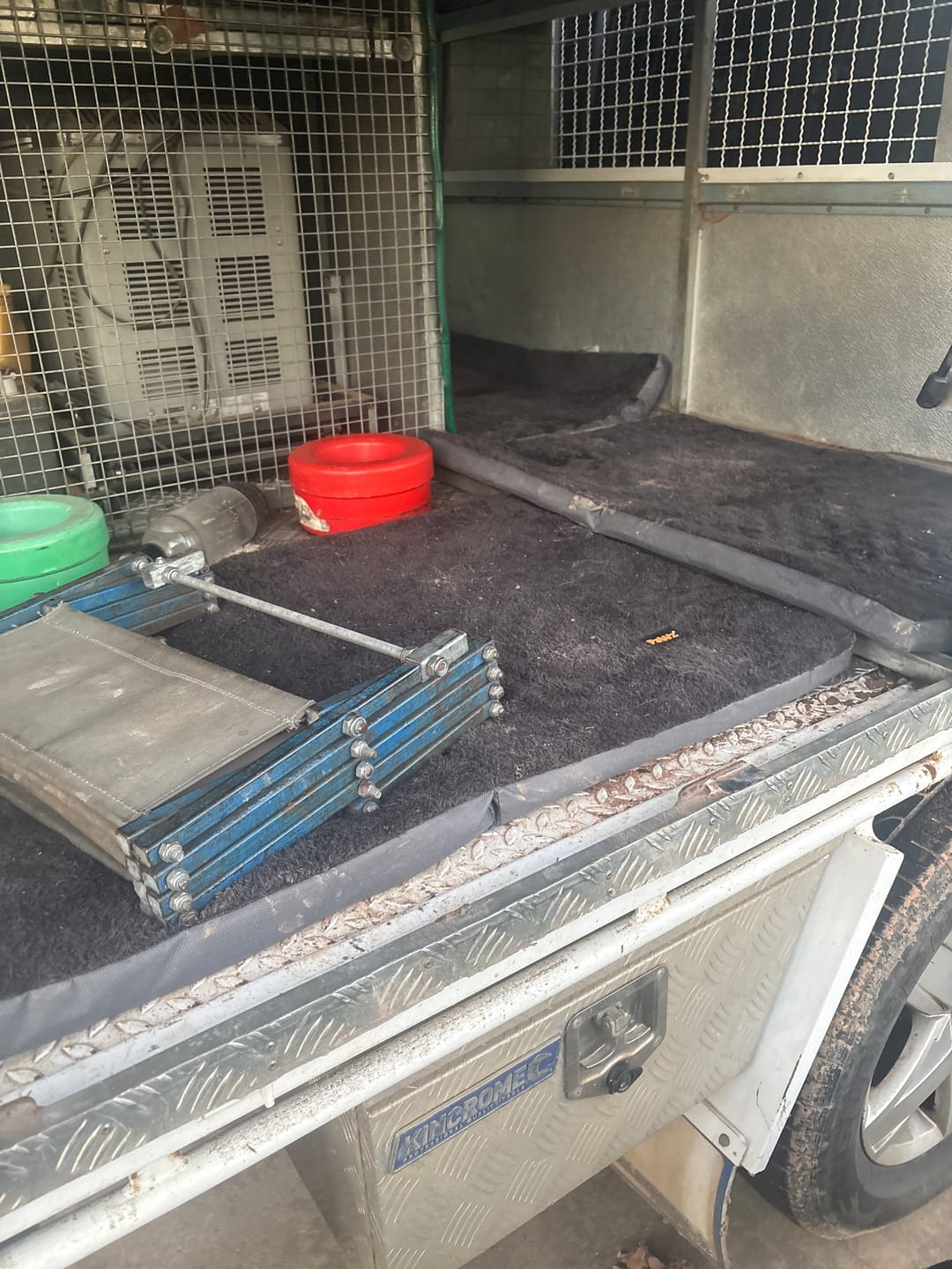 Customer photo review of Foldable Travel Dog Beds