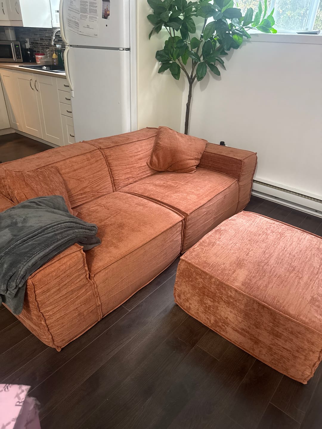 Customer photo review of M1 Sofa Loveseat
