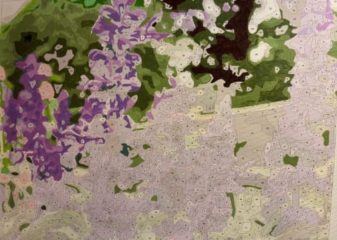 Customer photo review of Custom Paint By Numbers - Turn Trip Memory into Art