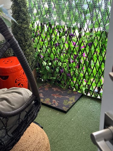 Customer photo review of Koi Pond - Luxury Cat Scratching Board