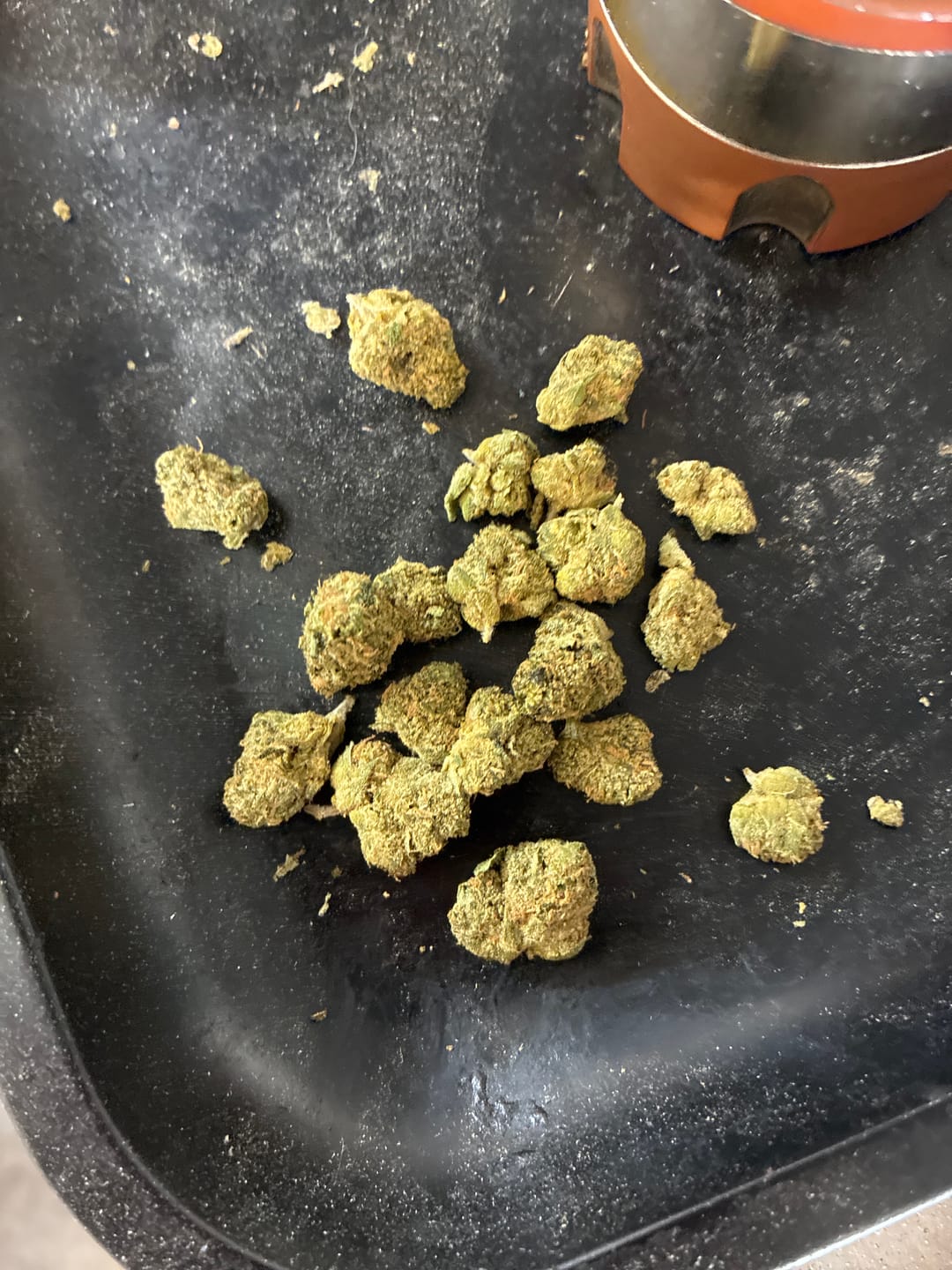 Customer photo review of Gelato Float - Greenhouse Smalls