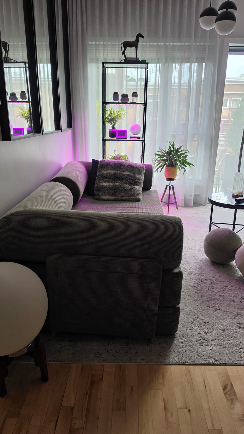 Customer photo review of S8 Sleeper Sofa Bed