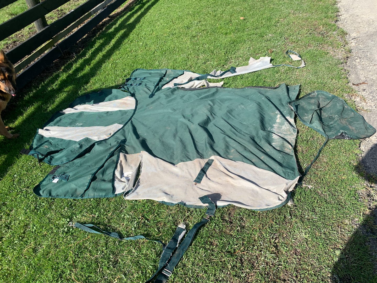 Customer photo review of NZ Tack WaterProof Mesh CrossOver Combo Green