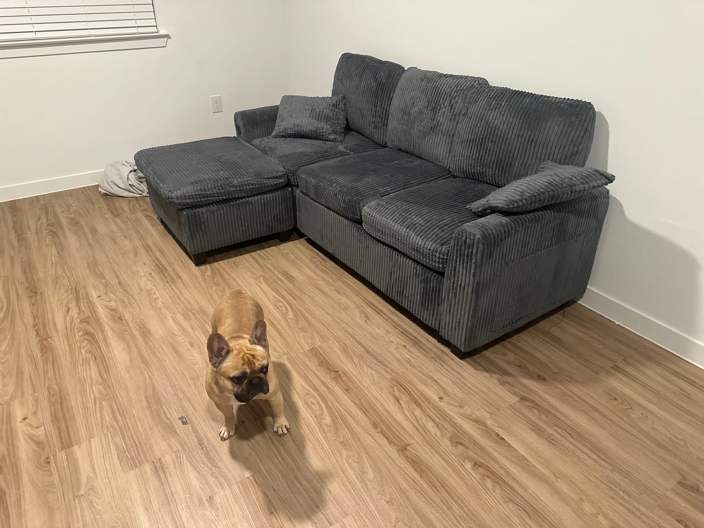 Customer photo review of Chenille Pull Out Sleeper Sofa with Storage Ottoman