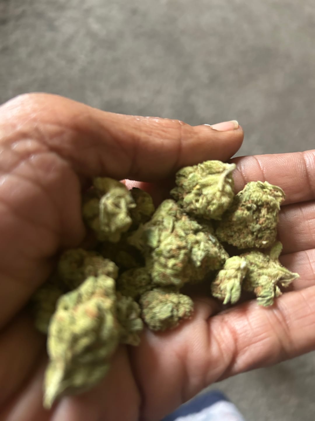 Customer photo review of King Louis XIII - 4 Grams - Indica