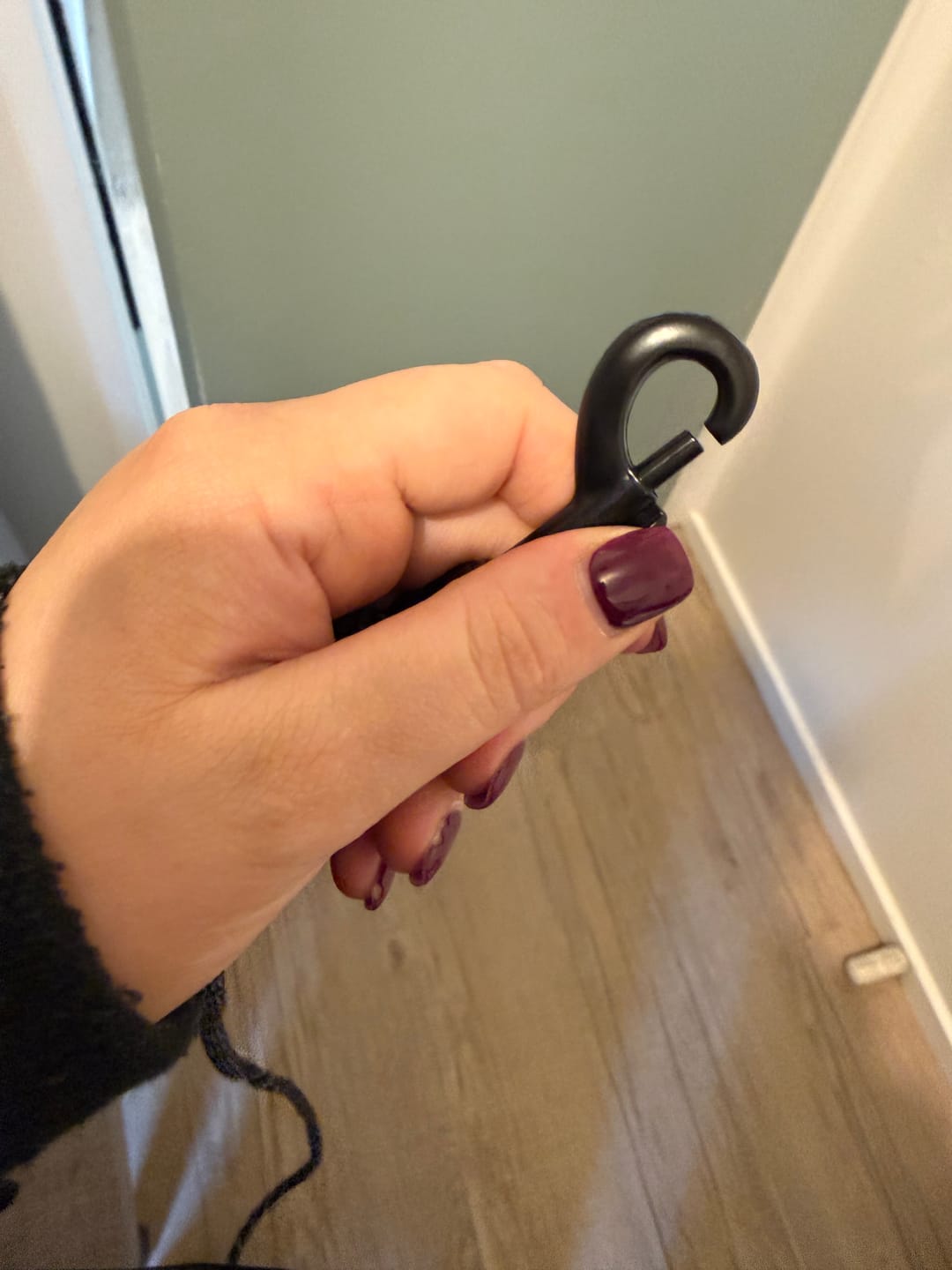 Customer photo review of Strong Reflective Dog Leash