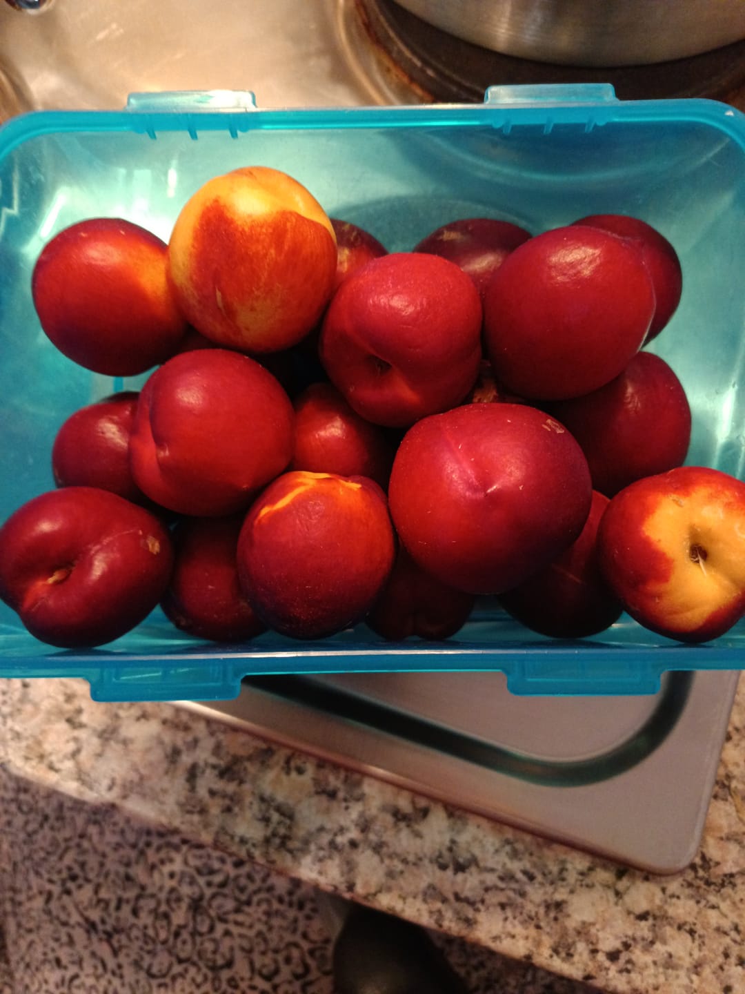 Customer photo review of Pfirsich & Nektarinen Bio von Jordi Retterbox 3kg
