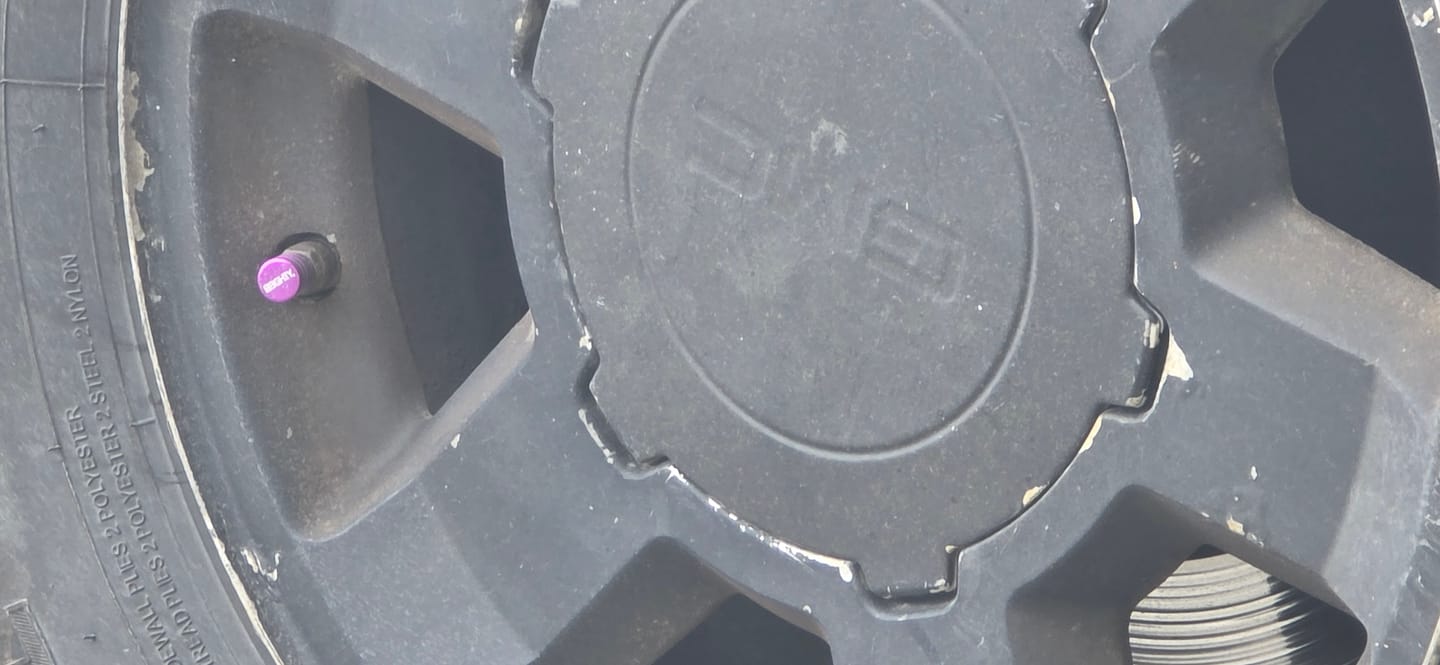 Customer photo review of 80Eighty® Purple Valve Stem Caps