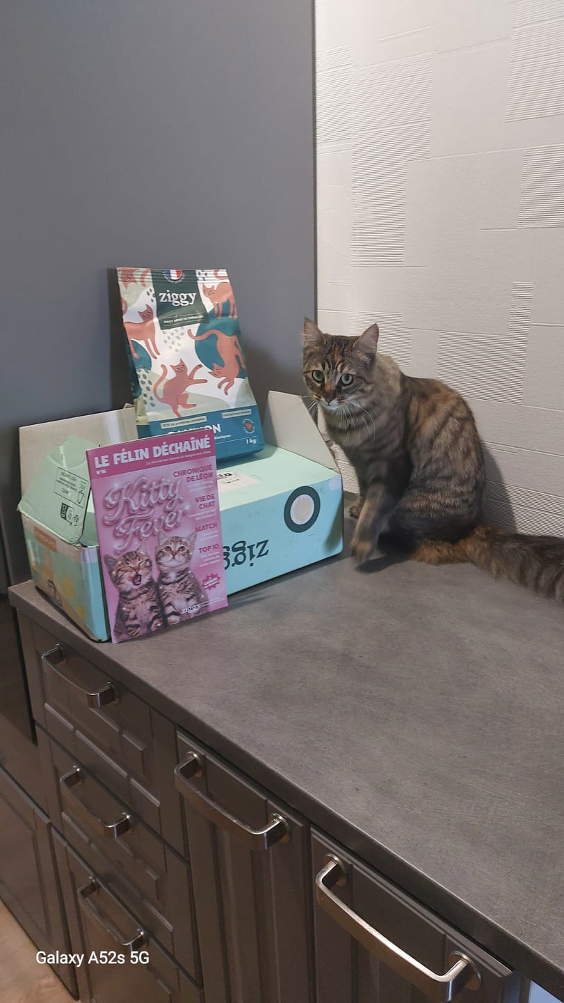 Customer photo review of Croquettes Chat Stérilisé Sans Céréales - Saumon