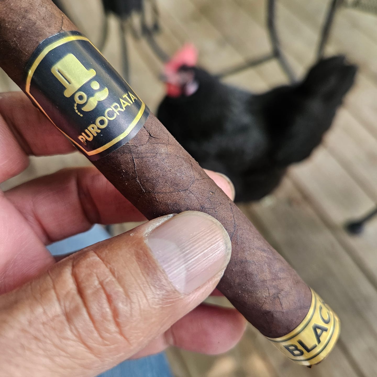 Customer photo review of PUROcrata Black