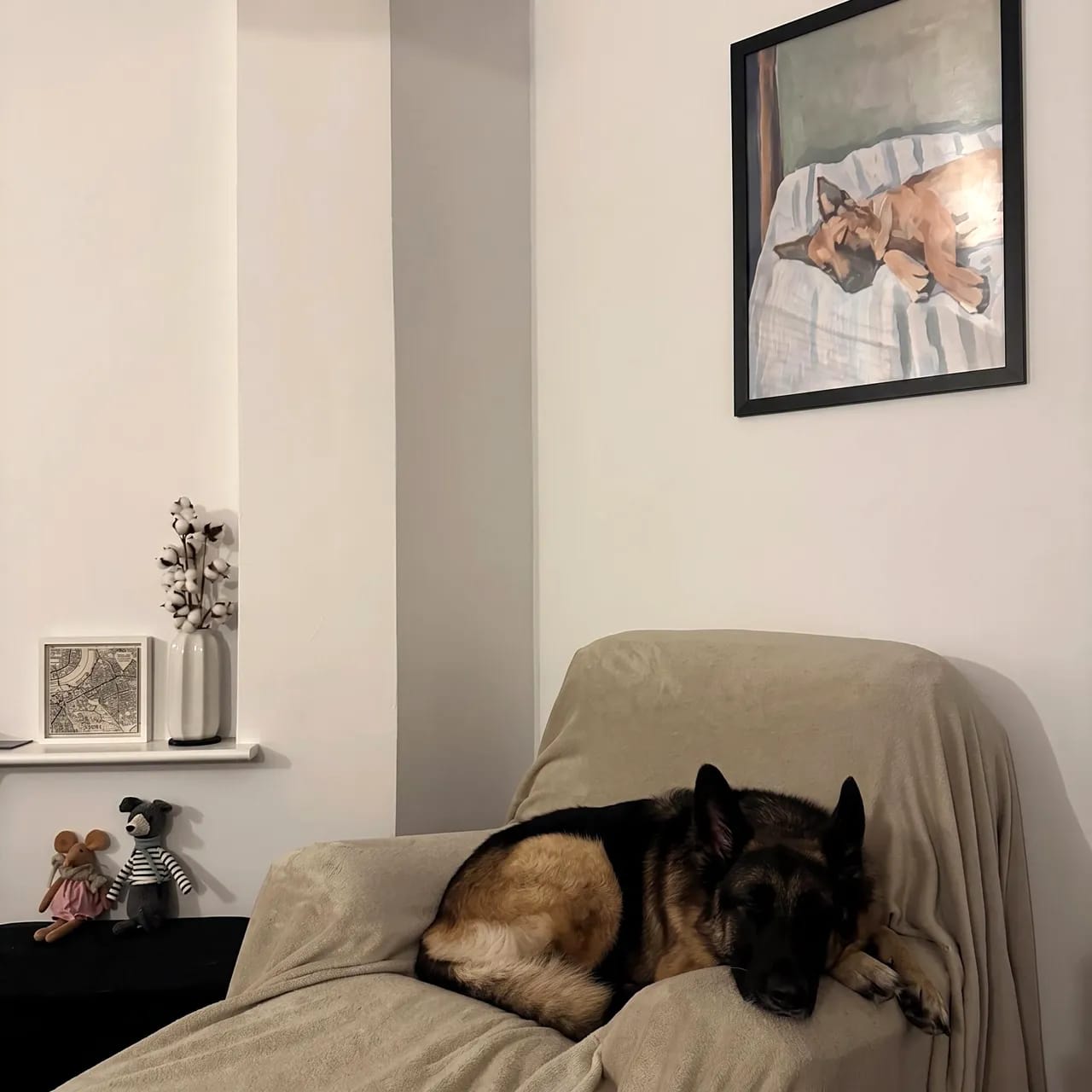 Customer photo review of German Shepherd Art Print